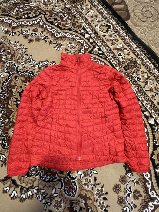 Мікро пуховик The north face