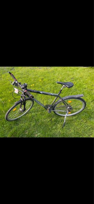 Męski Rower Orbea Egino Xsport