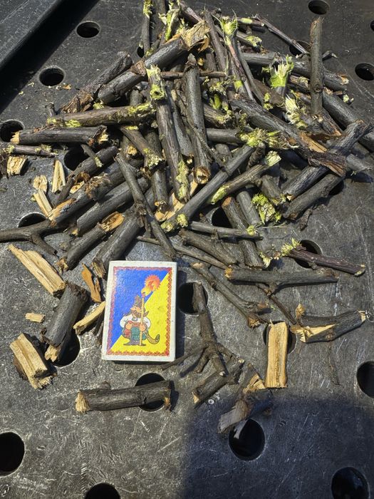 Шнековий подрібнювач гілок до мотоблока.