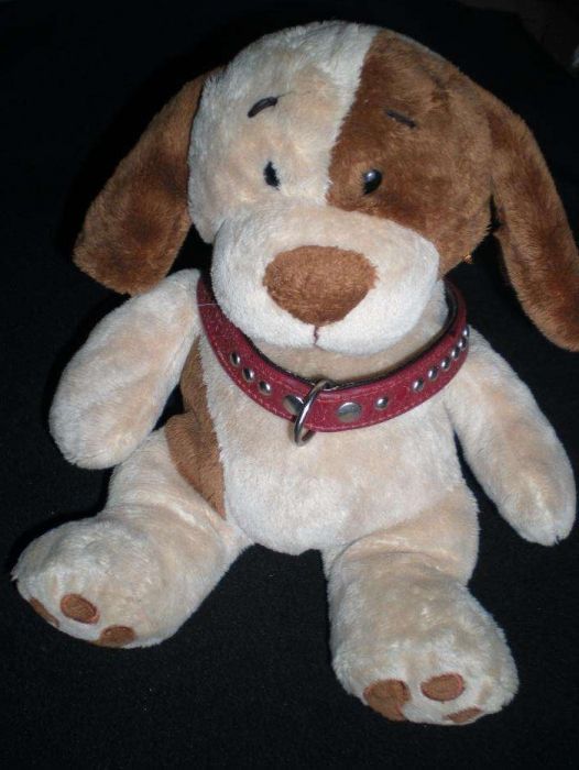 Ошейник Оберег 2*41см Кожа