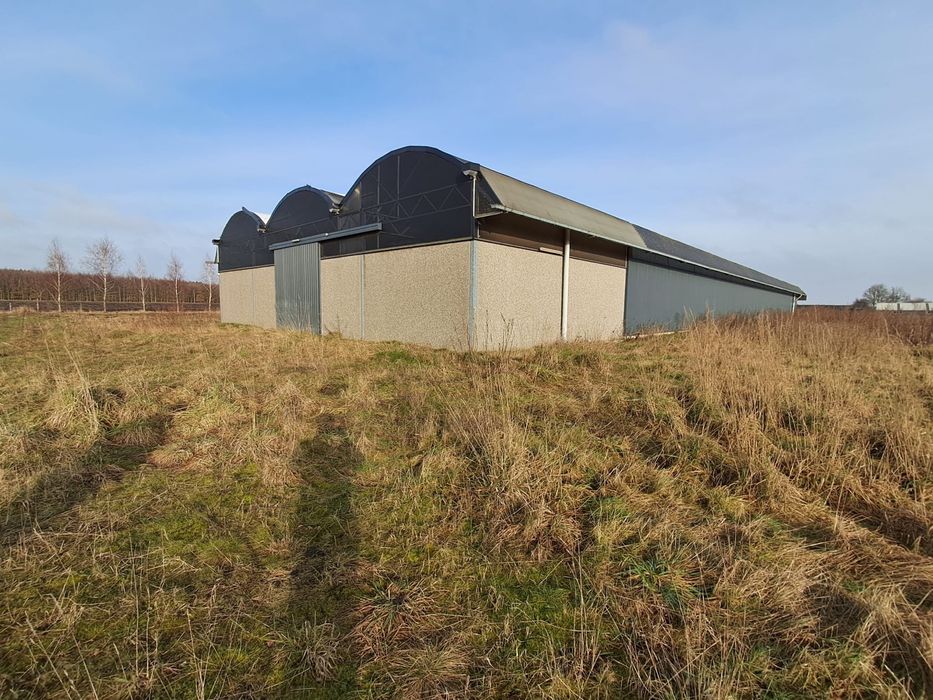 Kurnik , szklarnia, hala garażowa, magazyn