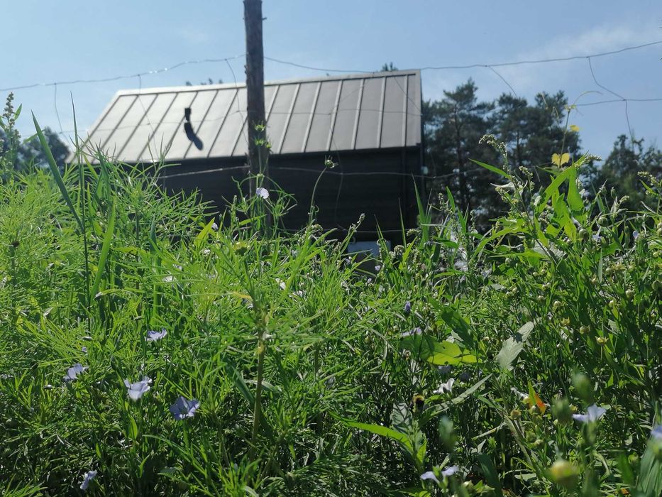 Dom 70 m2 do wynajecia od 1 wrzesnia