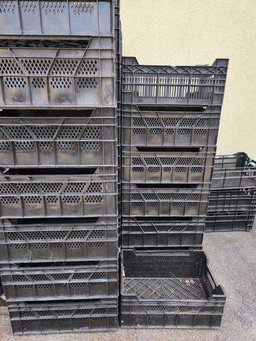 Solidne plastikowe skrzynki na rośliny, warzywa