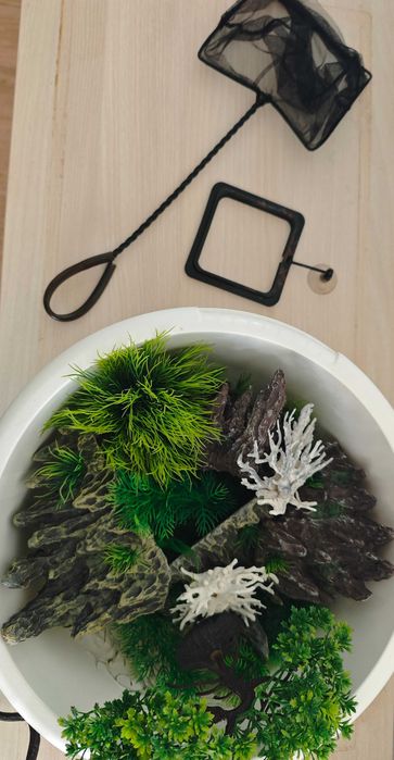Aquário Scalare Evolution 76 eco led