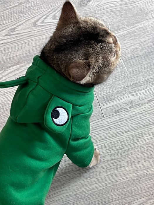 Худі жабка для котика чи маленької собаки