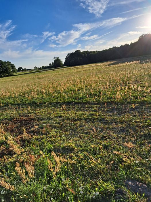 Sprzedam działkę budowlaną 1400m² w Ptaszkowicach