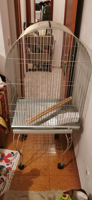 Gaiola pássaros ou papagaio