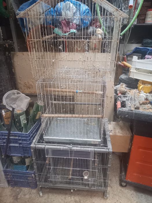 Três gaiolas para desocupar