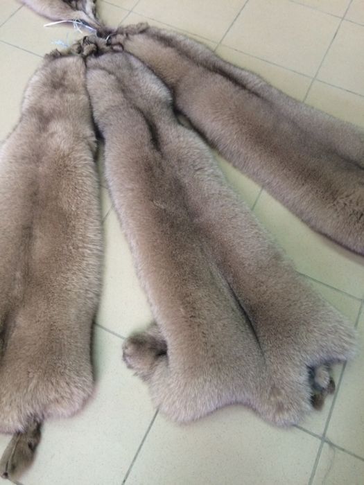 Шкуры мех песца . Покраска в любой цвет