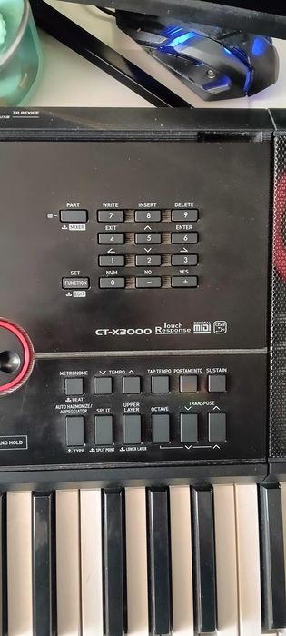 Casio ct-x 3000 keyboard+ pendrive USB  z 880 MIDI
