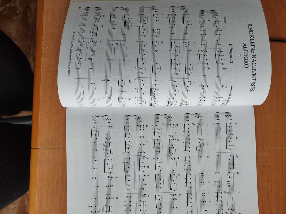 Mozart W.A. - Eine kleine Nachtmusik