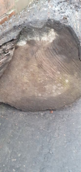 Стовбур горіха 2м довжина і 35 діаметр