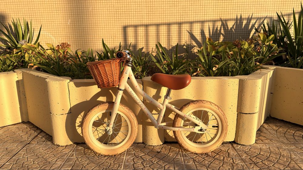 Bicicleta de Equilíbrio Banwood - Edição Flamingos