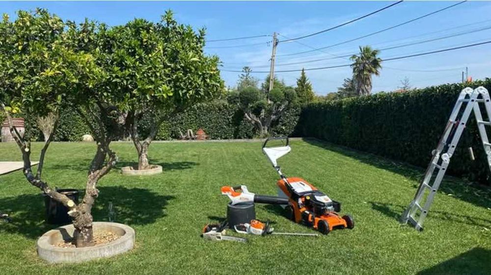 Serviços de Jardinagem | Cortes e Podas de árvores em altura