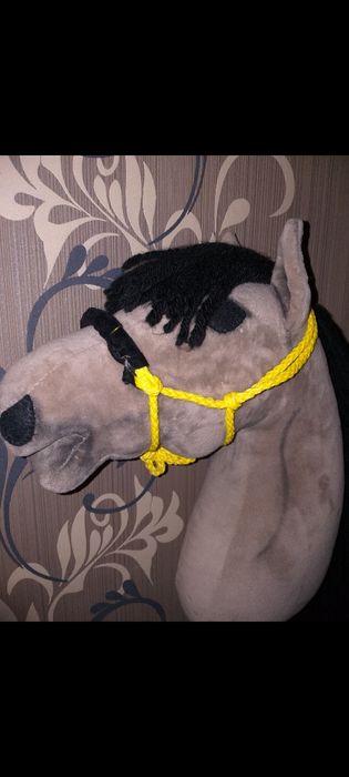 Hobby horse + akcesoria