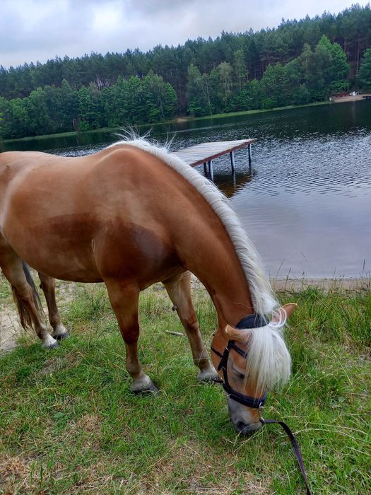 Domek nad jeziorem na Kaszubach, wędkowanie, pomost