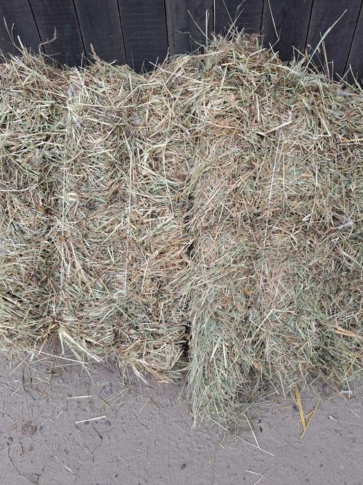 Sprzedam siano 2025