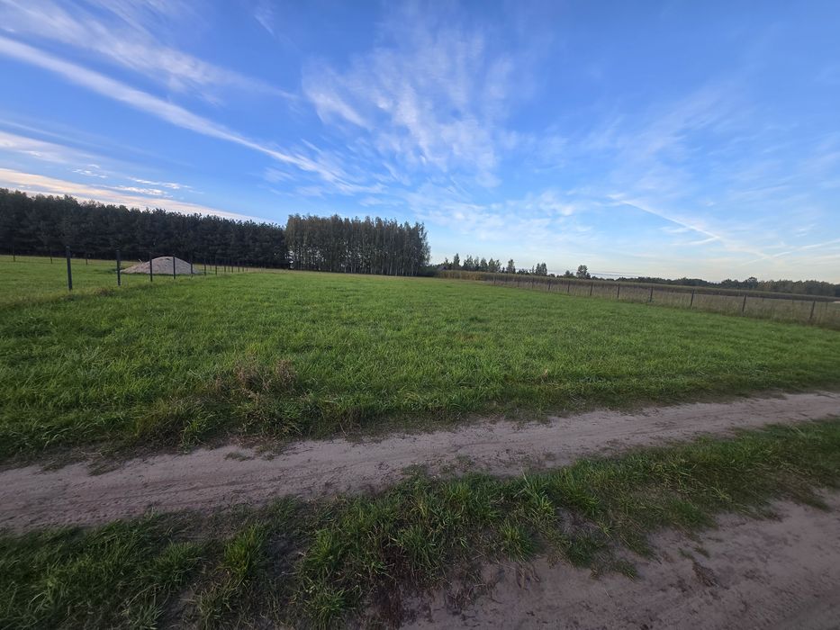 Sprzedam działkę na mazurach 1000m² miejscowość Rostki - Widok 4