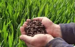 Nawóz naturalny na trawe do ogrodu sadu, granulat 20kg