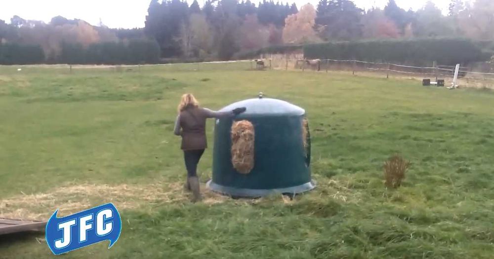 Paśnik typu Dzwon dla koni JFC DARMOWA WYSYŁKA