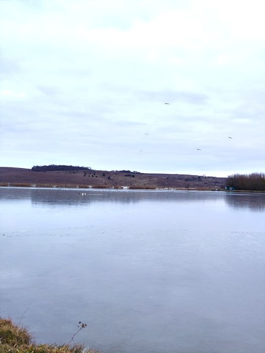 = Терміново!!! Продам ділянку в Городищі