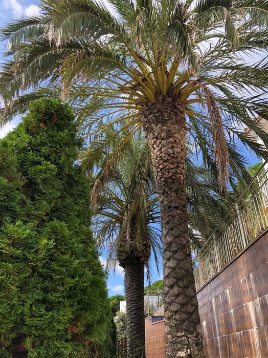 Вілла у моря  Коста Браво, Испания