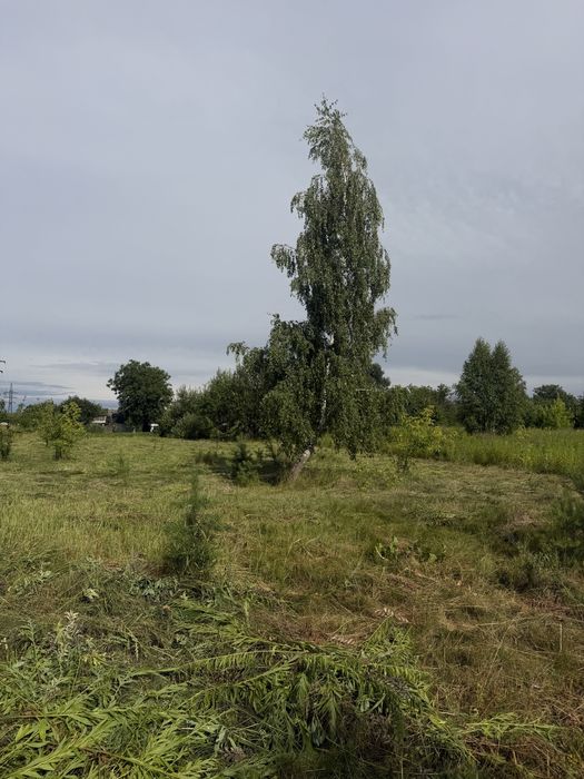 Продаж земельної ділянки під забудову с.В Кошарища