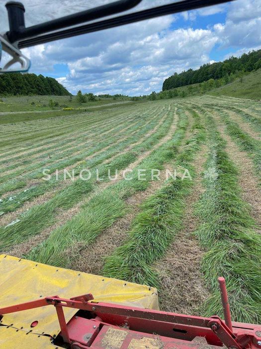 Сіно лугове різнотравʼя в круглих тюках. Укос 2025 року