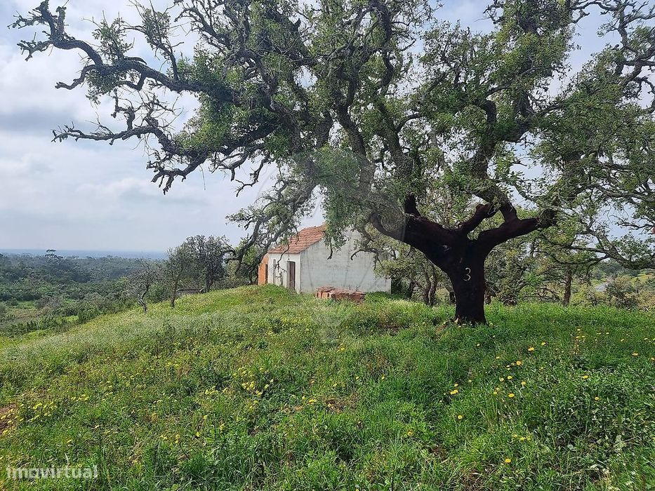 Quinta T2 para venda