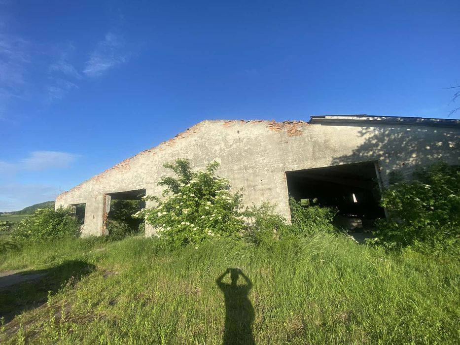 Продається ферма