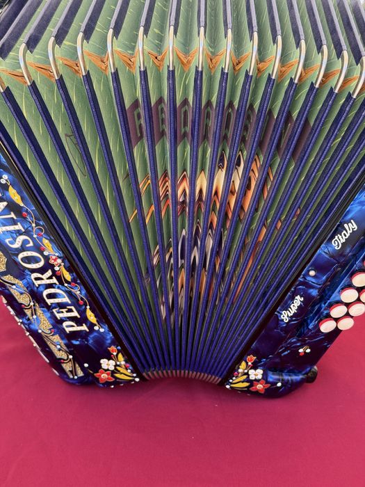 Concertina Pedrosini