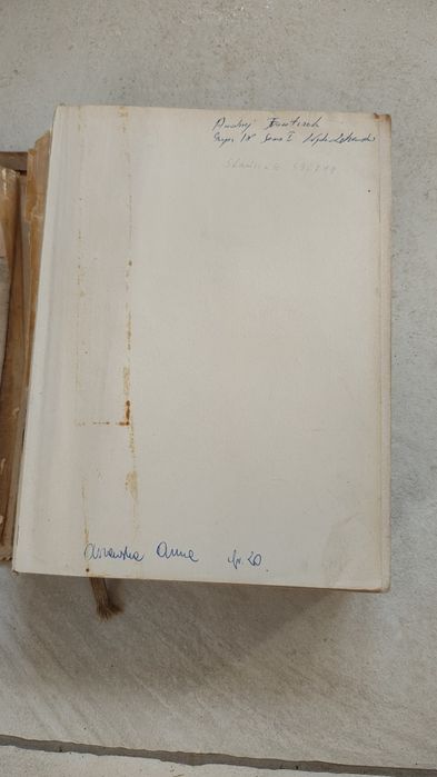 Anatomia człowieka tom II Adam Bochenek Michał Reicher