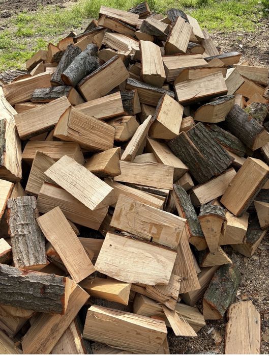 Drewno gałęziowe Dąb kominkowy