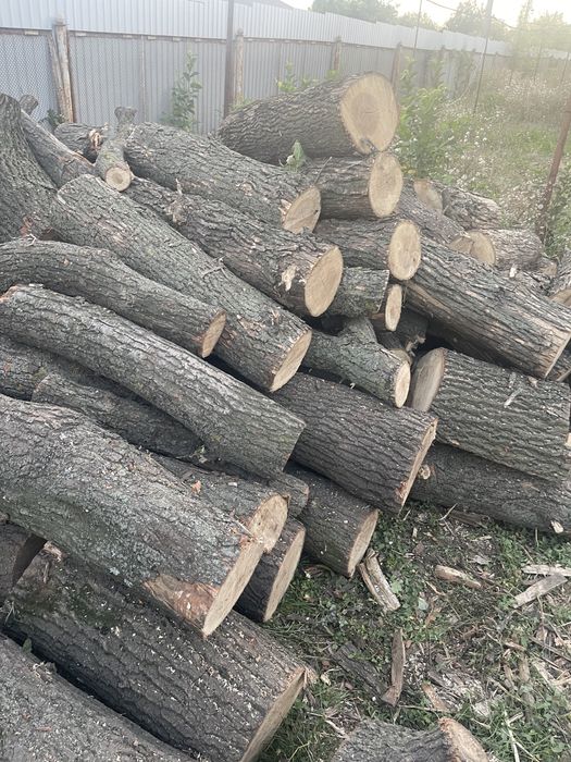 Продам сухие дрова ДУБА!!!