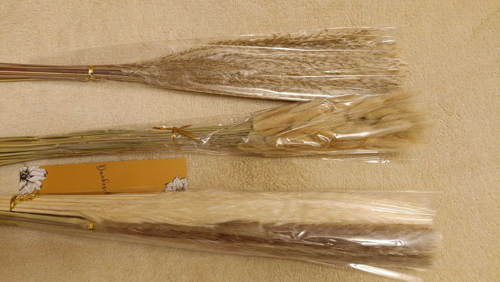 Набір 4 види пампасної трави