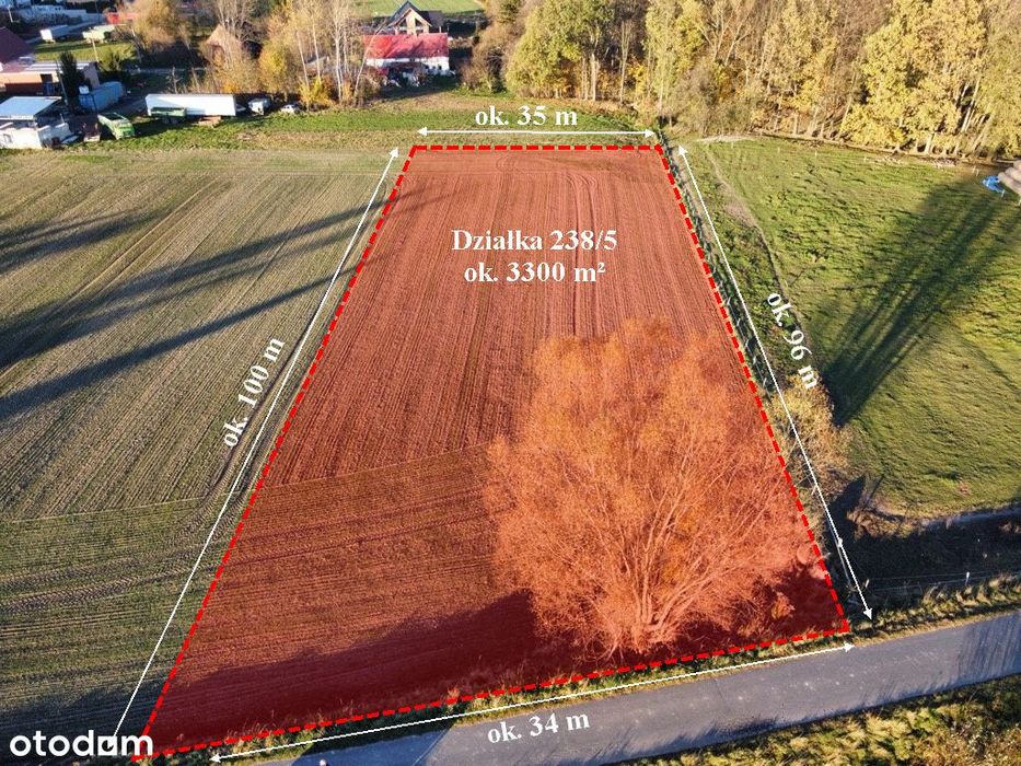Działka 3300 m² z WZ | Młyńsko | gm. Gryfów Śląski - Widok 2