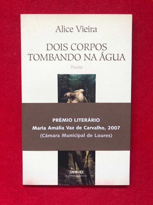 Dois corpos tombando na água - Alice Vieira