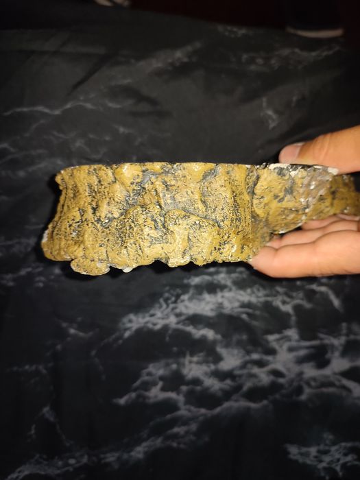 Bebedouro para animais