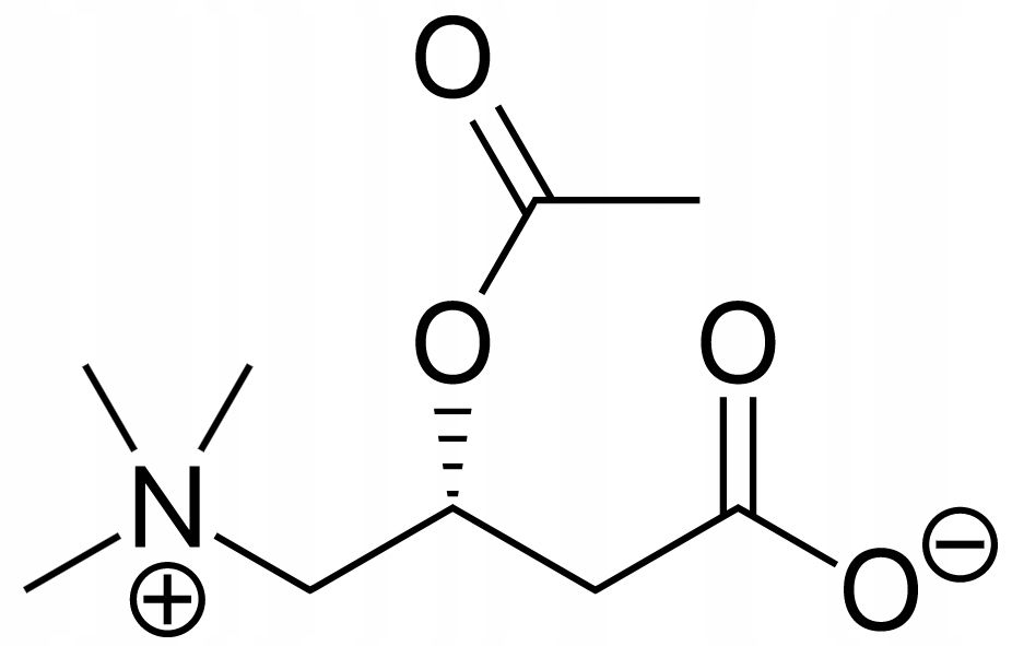 AcetylCarnitine Acetylo L-karnityna Alcar 100g
