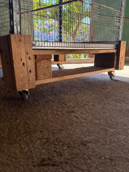 Conjunto de Gaiolas para Pássaros