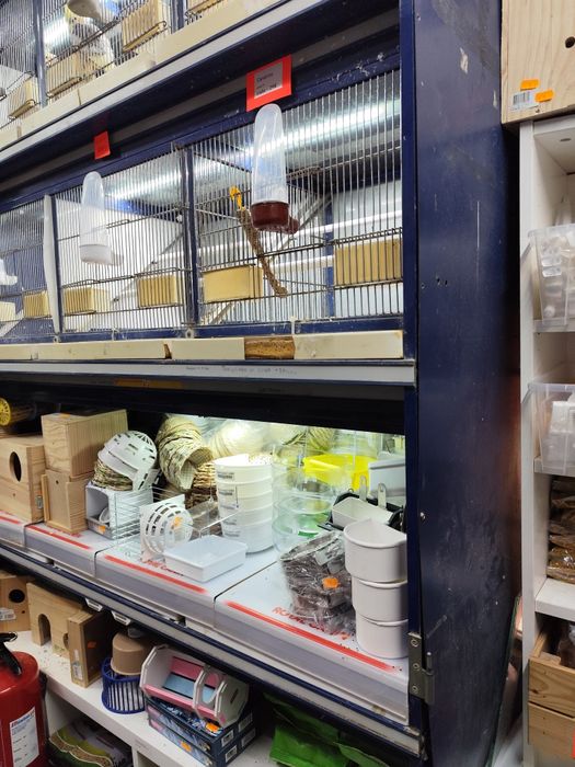 Expositor aves 6 gaiolas