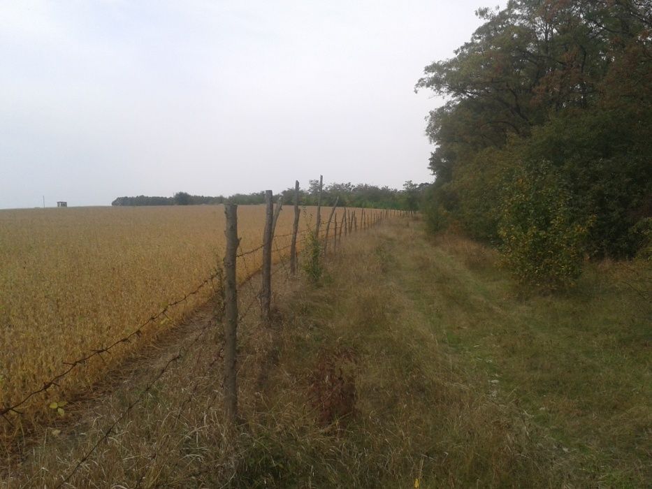 Продам землю ОСГ ПАЙ 12 га плюс будинок і склад. Капельне  зрошення.