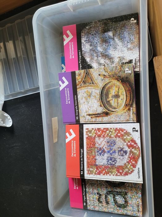 Enciclopédia académica