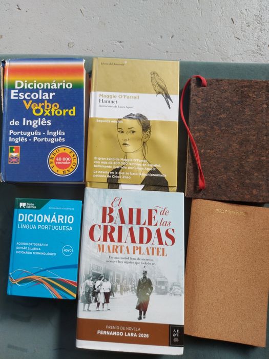 2 livros em espanhol  2 dicionários e 2  blocos de apontamentos