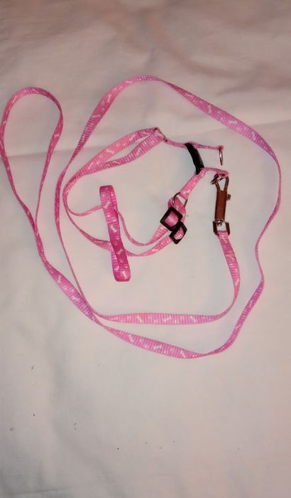 Поводок для котика.