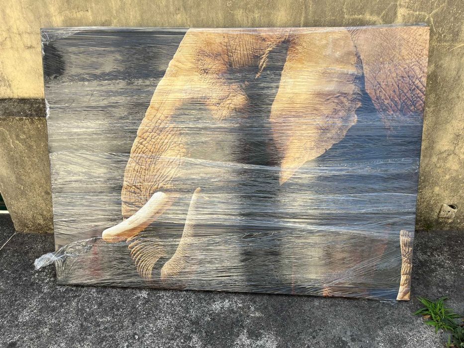 Quadro com desenho de elefante
