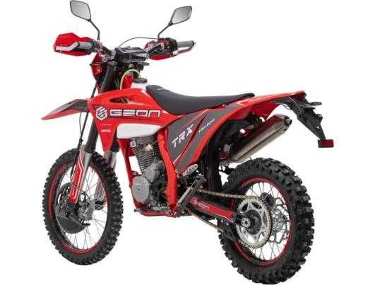 GEON TRX 300 YGH PRO, 2025  р. в.