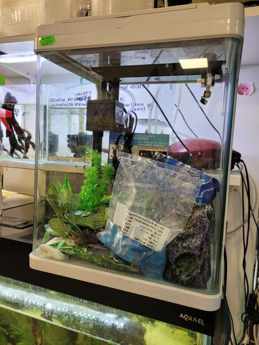 Akwarium 22.5 L z oświetleniem