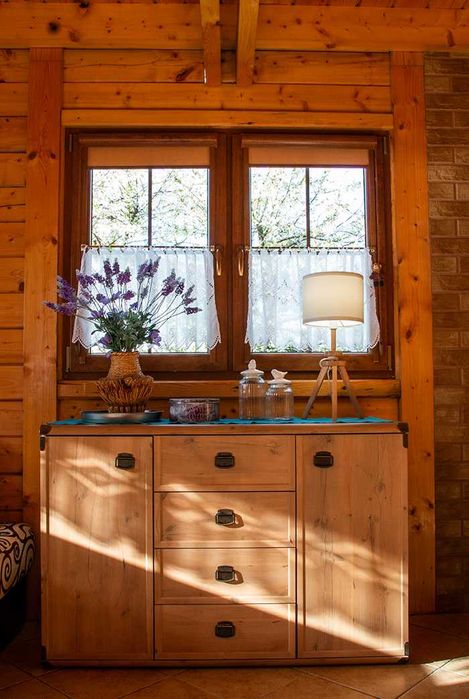 Domek  u Prezesa  Wilkasy