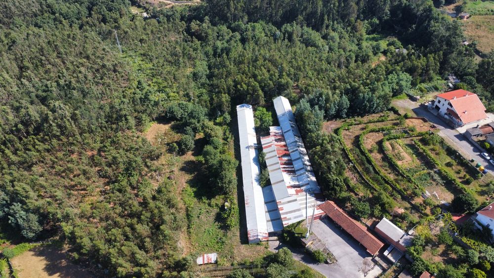 Vendo Monte, Armazem e Terras